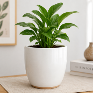 Classic Ceramic Pot