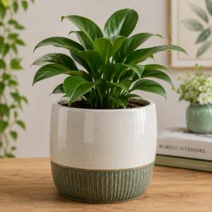 Premium Ceramic Planter