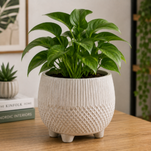 Textured Decorative Planter