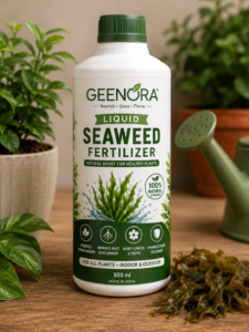 Liquid Seaweed Fertilizer
